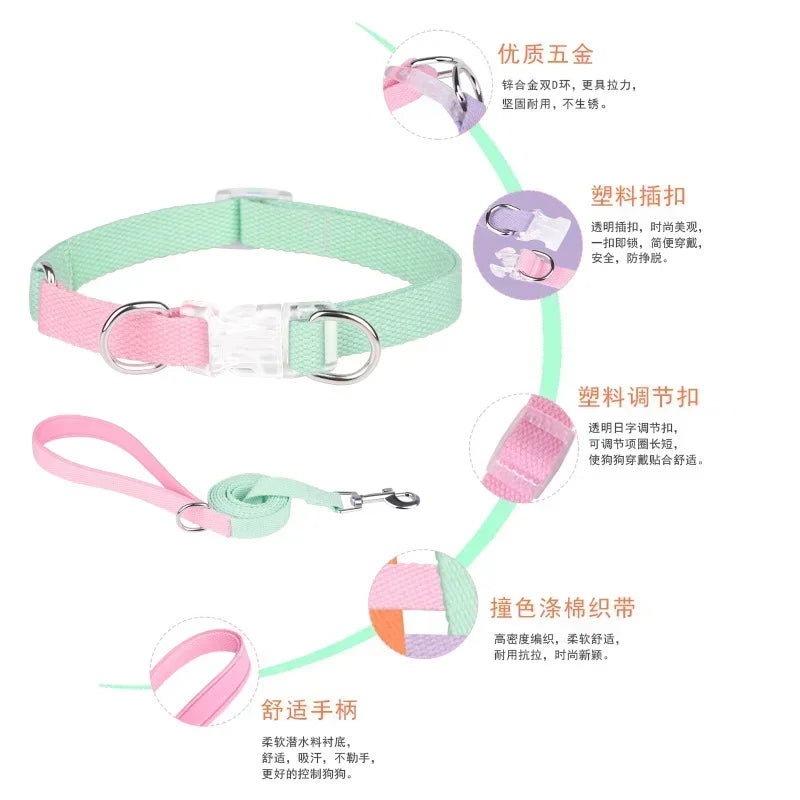 Dog collar, dog leash with double D ring, macaron collar color, transparent insert buckle, pull not easy to break
