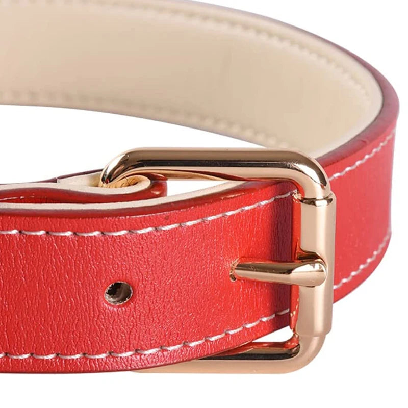 Genuine Leather Dog Collar