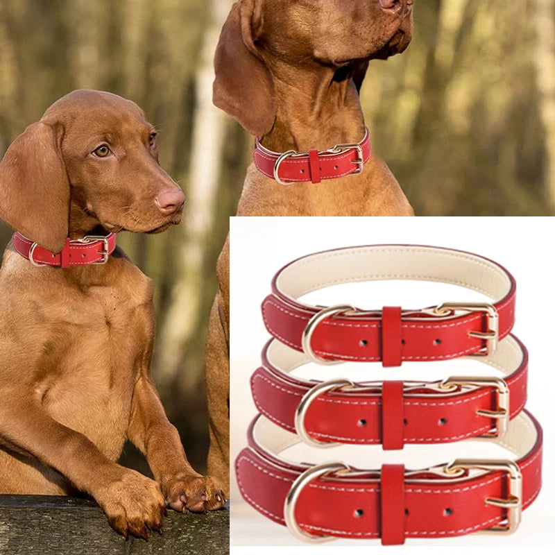 Genuine Leather Dog Collar