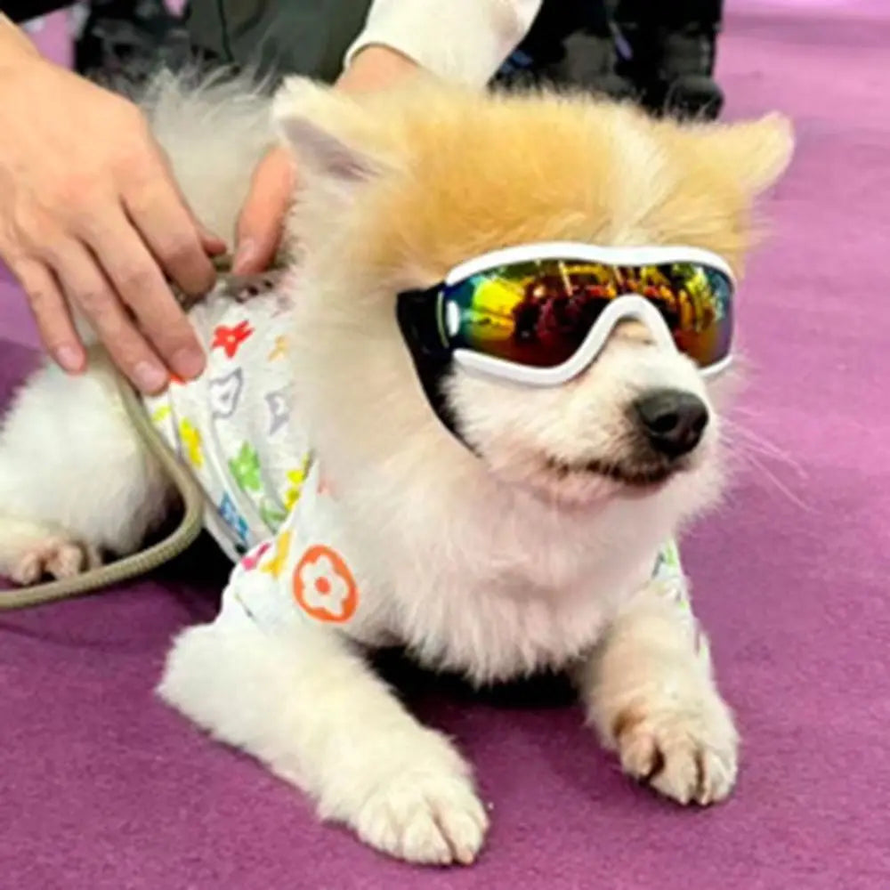 Dog Accessories Adjustable Strap Goggles, UV Resistant ,Windproof ,Anti-Fog Waterproof