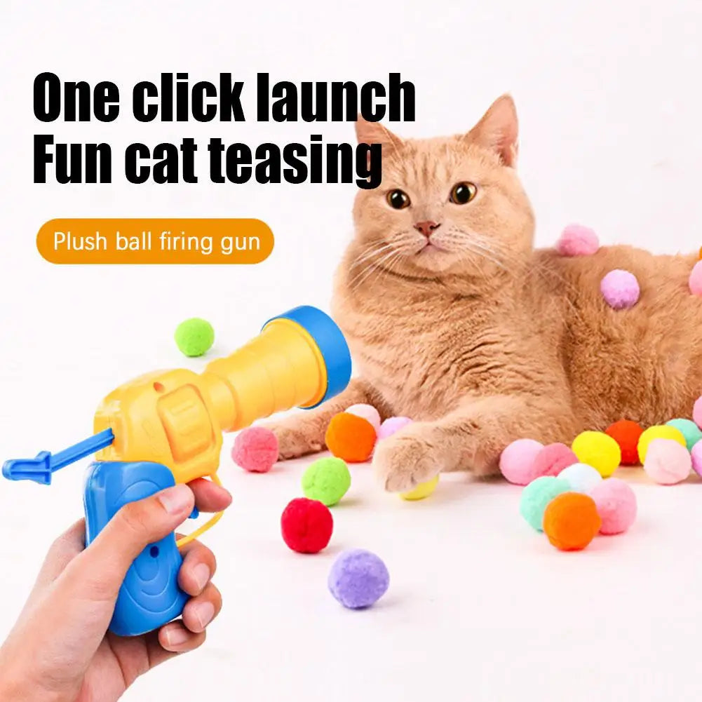 Cat Toys Interactive Launch Training