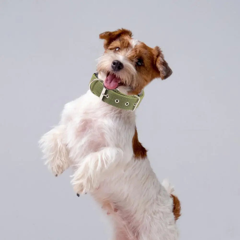 Dog Collar Nylon,Adjustable Dog Neck Circle