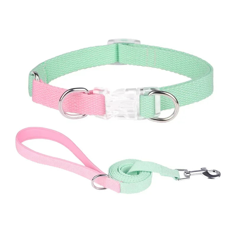Dog collar, dog leash with double D ring, macaron collar color, transparent insert buckle, pull not easy to break