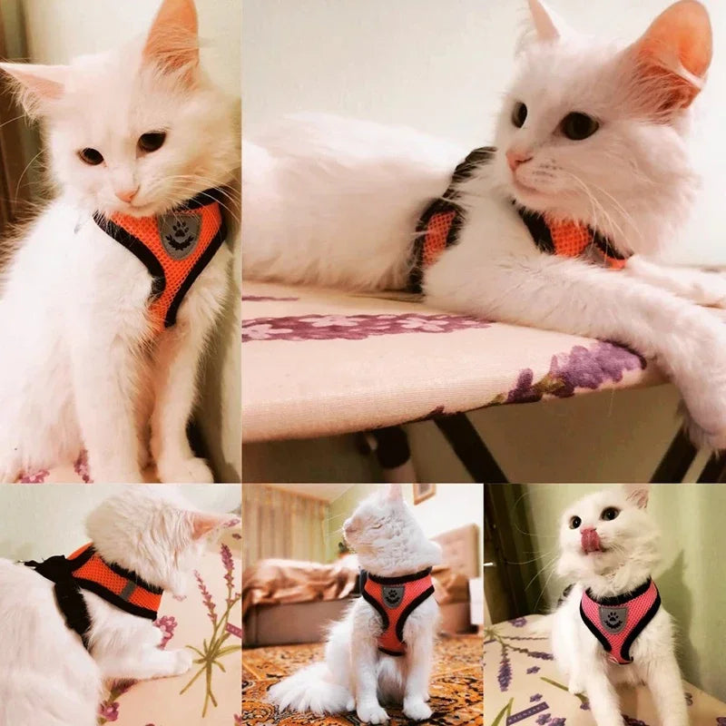 Happy Tails Cat and Puppies Harness Vest Walking Lead Leash