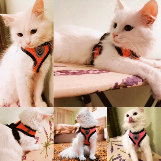 Happy Tails Cat and Puppies Harness Vest Walking Lead Leash