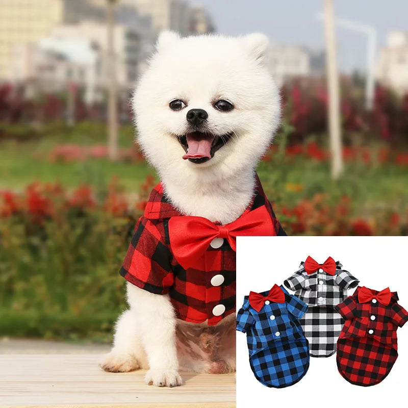 Striped Shirt Suit Wedding Dress Puppy Coat Teddy Bear