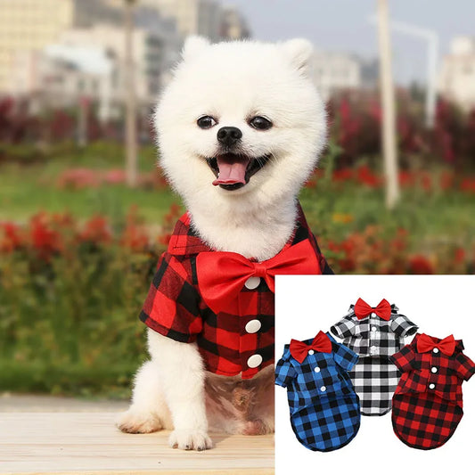 Striped Shirt Suit Wedding Dress Puppy Coat Teddy Bear
