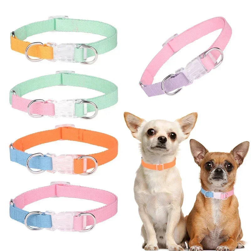 Dog collar, dog leash with double D ring, macaron collar color, transparent insert buckle, pull not easy to break