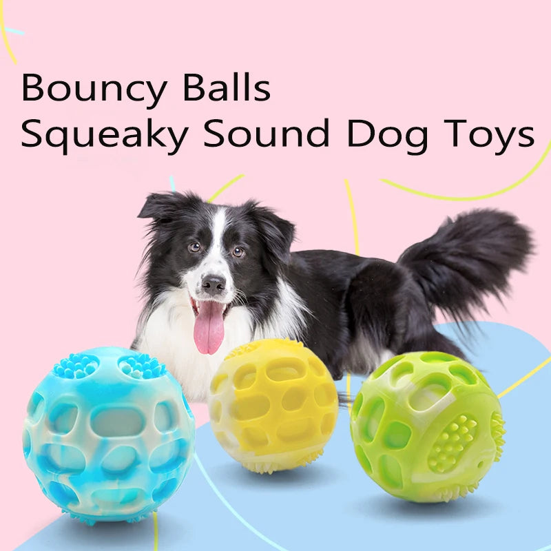 Pet dog toys are sturdy and durable, can alleviate teething discomfort, and are suitable for use during outdoor training.