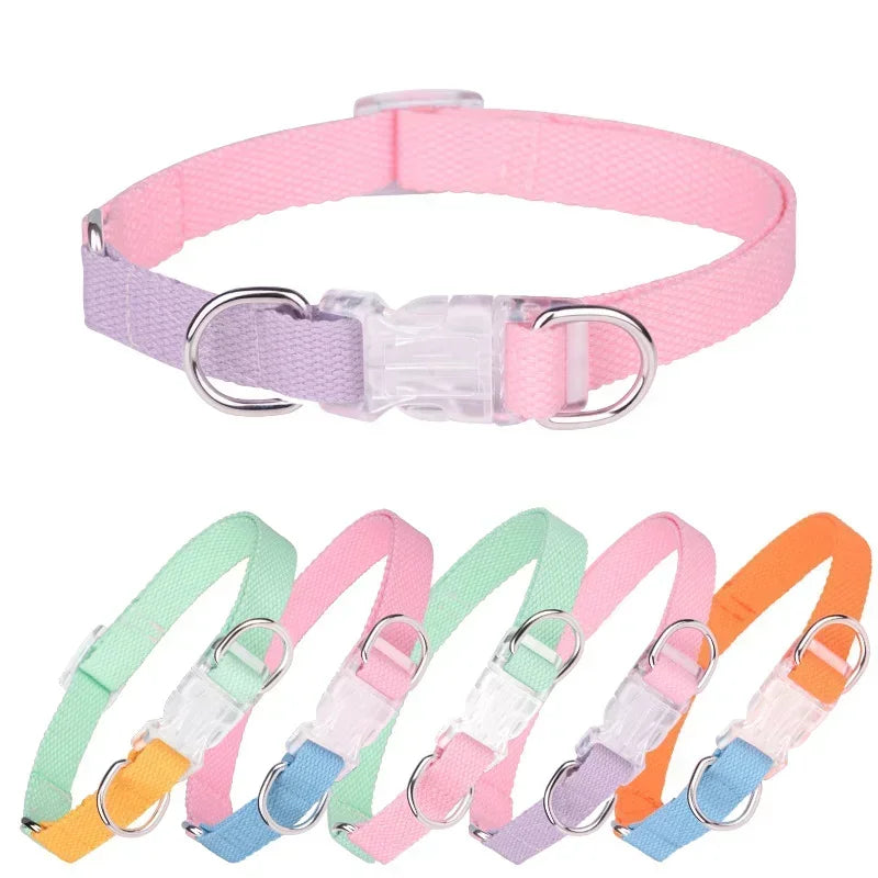 Dog collar, dog leash with double D ring, macaron collar color, transparent insert buckle, pull not easy to break