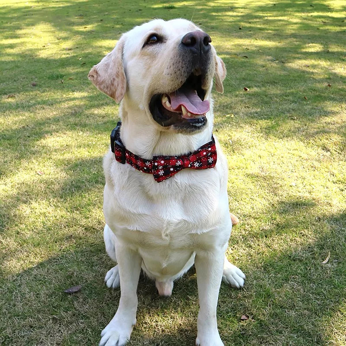 Dog Collar with Bow tie,Christmas Plaid Snowflake Collar with Adjustable Buckle Suitable for Small Large Dogs ,Cats
