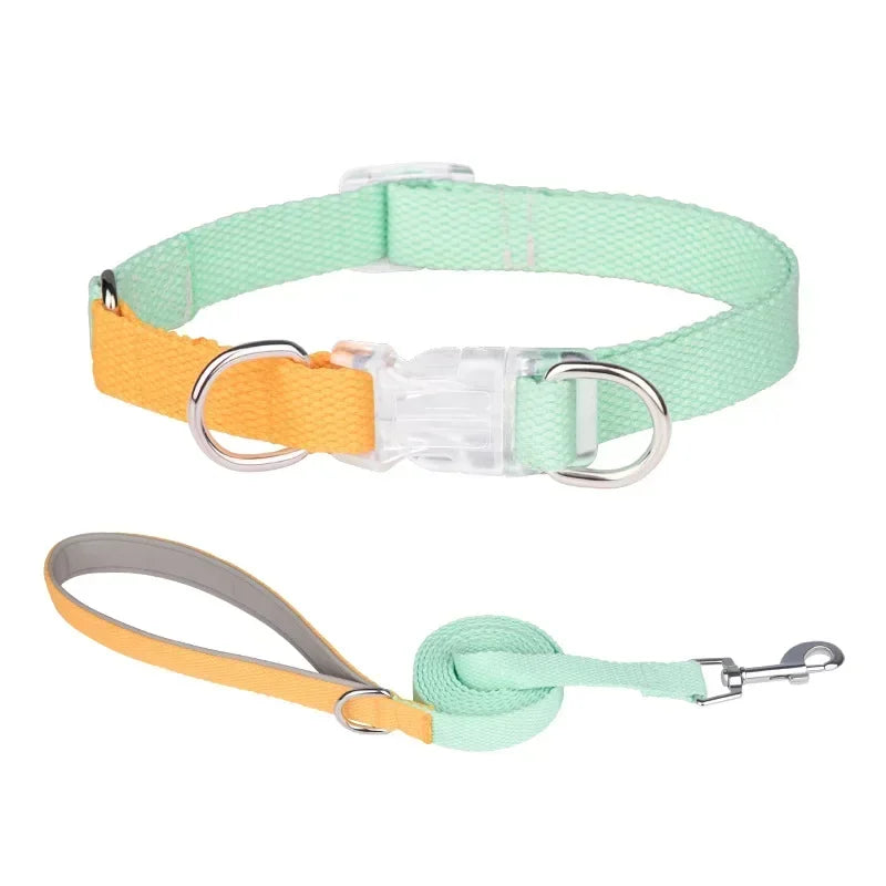 Dog collar, dog leash with double D ring, macaron collar color, transparent insert buckle, pull not easy to break