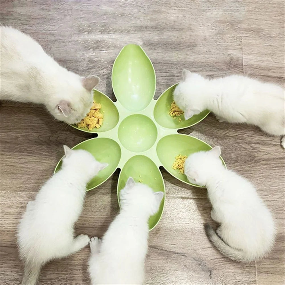 Cat Bowl Multi Petal Food Bowl Baby Cat Milk