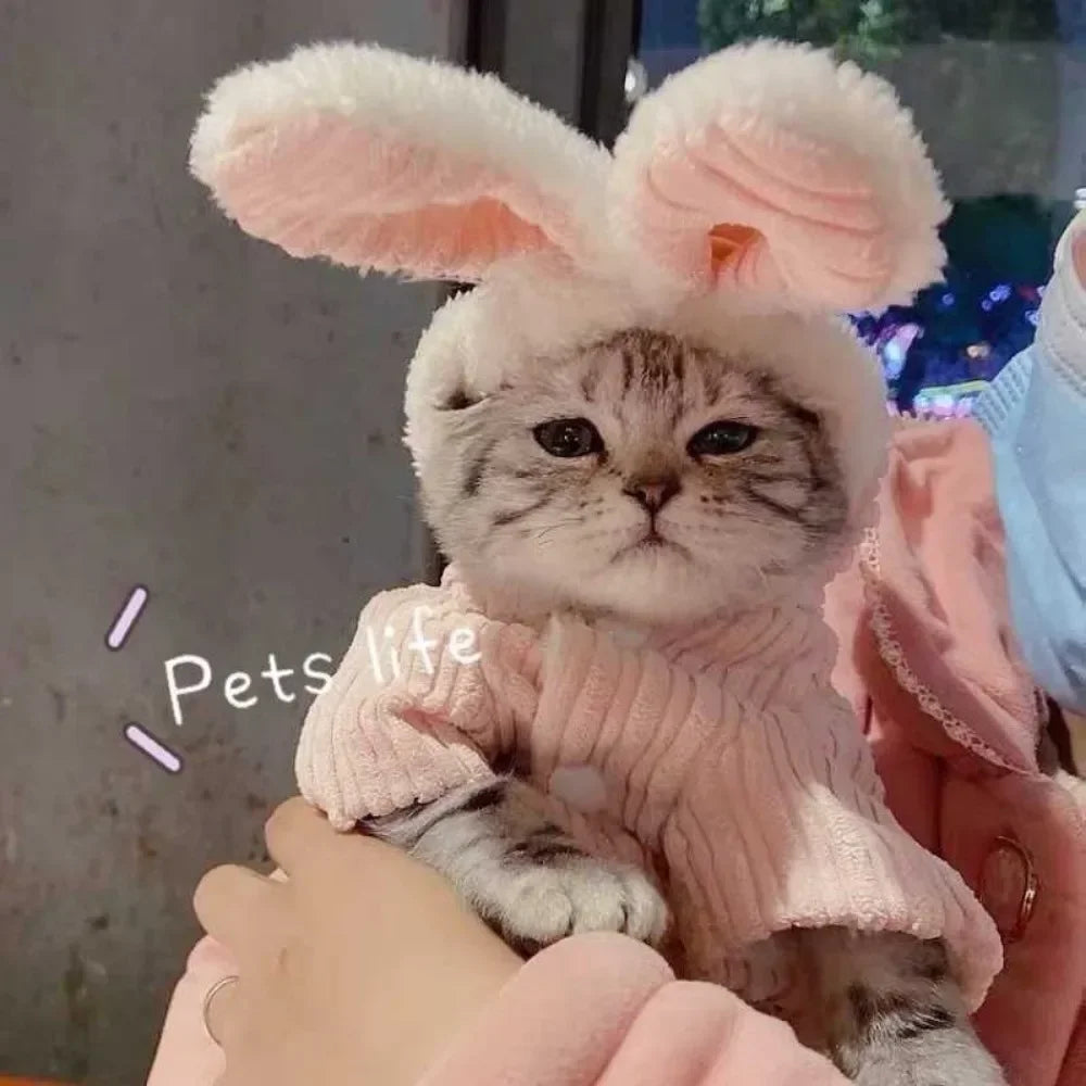 Lovable Cat Clothes Autumn and Winter, Small Dog Kitten