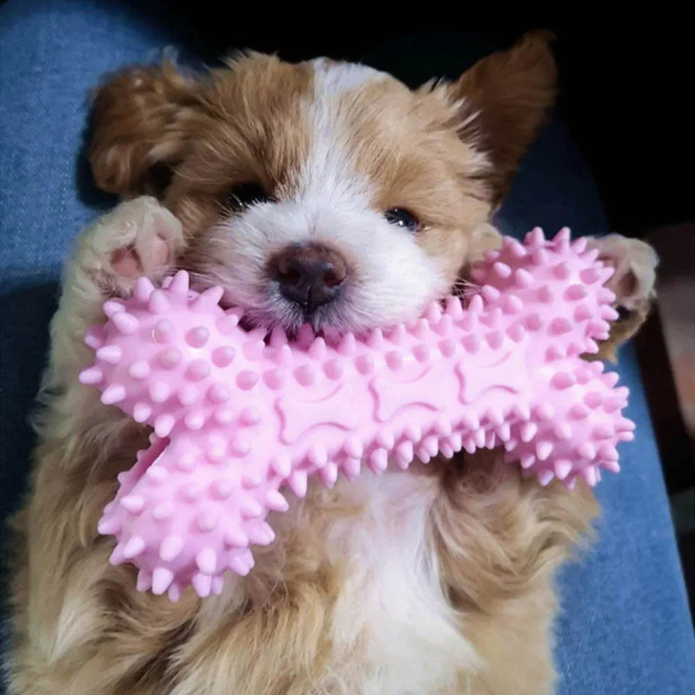 Dog Toys For Small Dogs Indestructible Dog Toy Teeth Cleaning