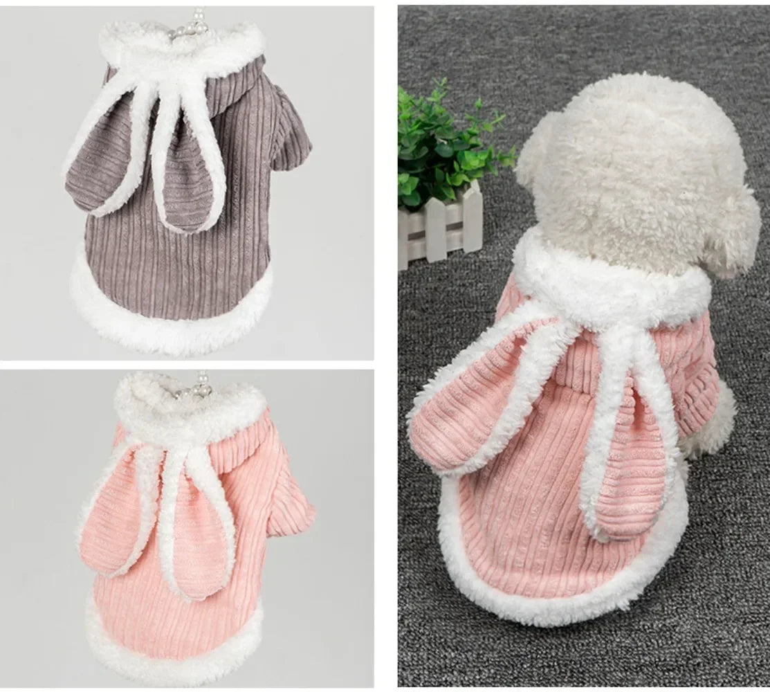 Lovable Cat Clothes Autumn and Winter, Small Dog Kitten