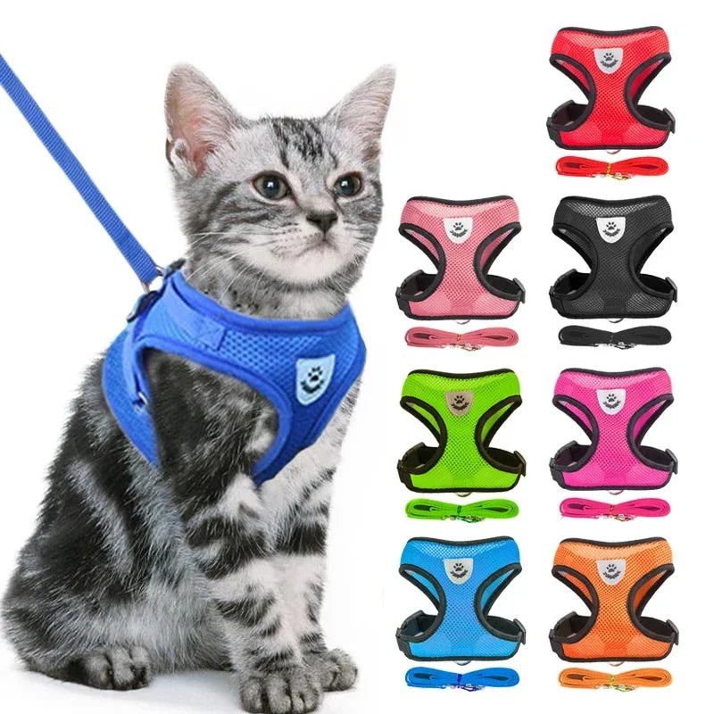 Happy Tails Cat and Puppies Harness Vest Walking Lead Leash