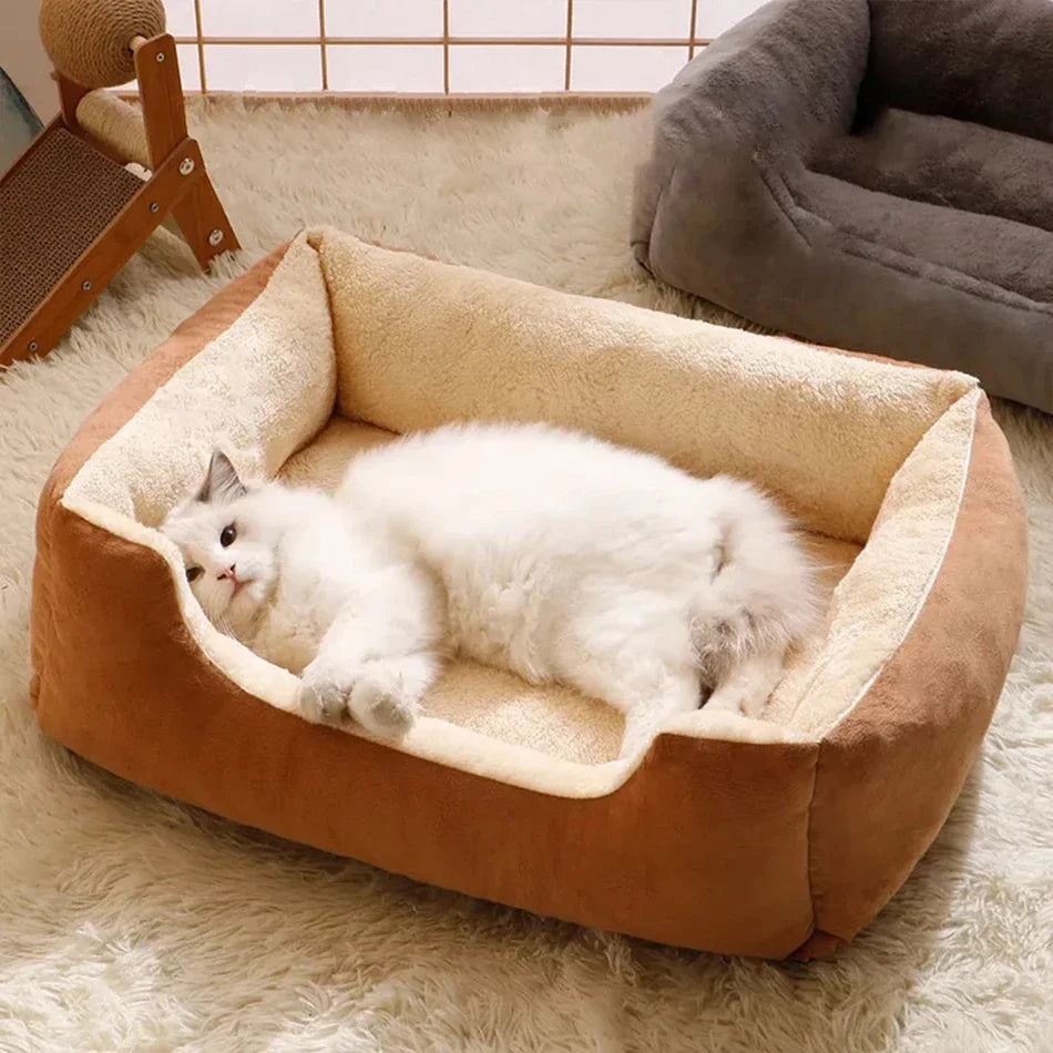 Bed for Cats and Dogs