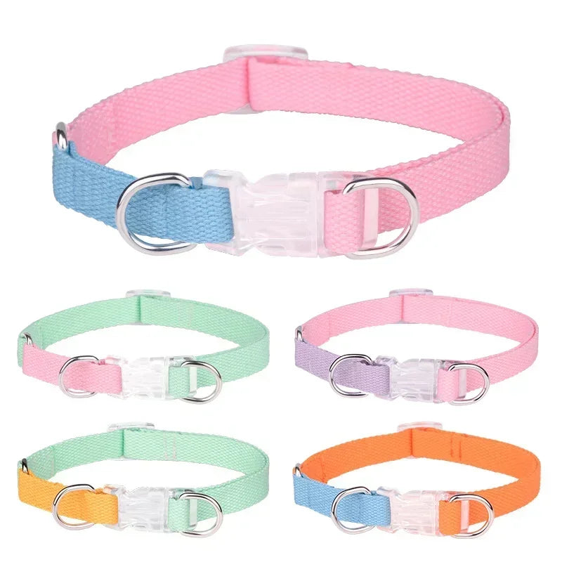 Dog collar, dog leash with double D ring, macaron collar color, transparent insert buckle, pull not easy to break