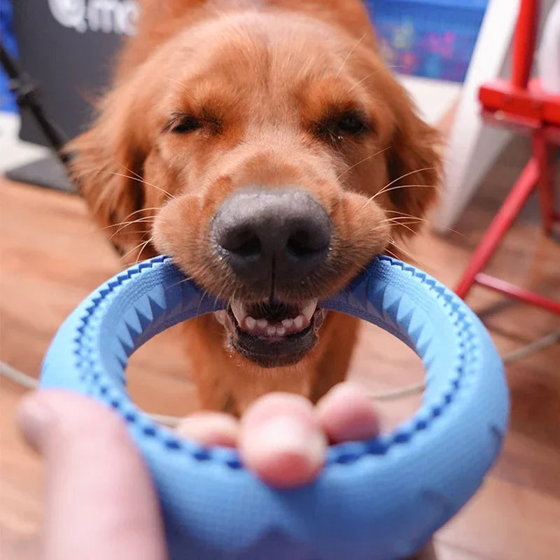 Dog Ring Toys Durable Chewing Flying Floating Training