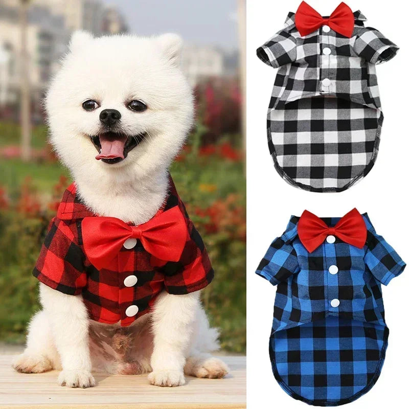 Striped Shirt Suit Wedding Dress Puppy Coat Teddy Bear