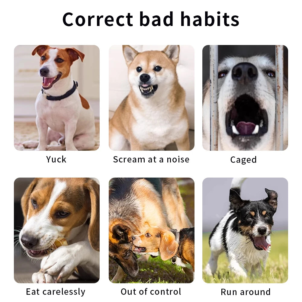 Dog Training Collar 800M Remote With Colorful Running Lamp ,Anti Bark,Universal Waterproof