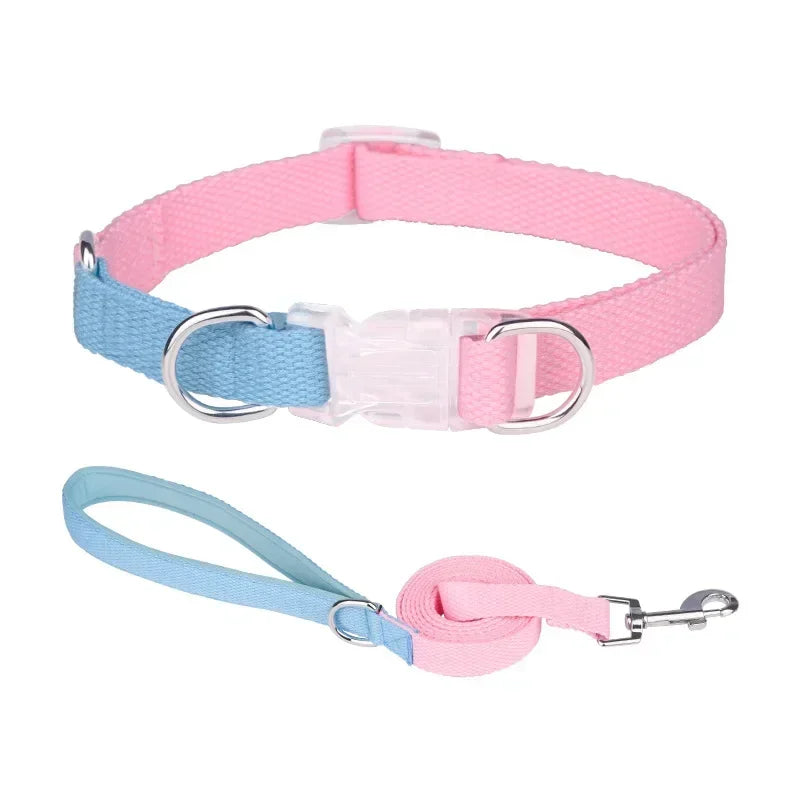 Dog collar, dog leash with double D ring, macaron collar color, transparent insert buckle, pull not easy to break