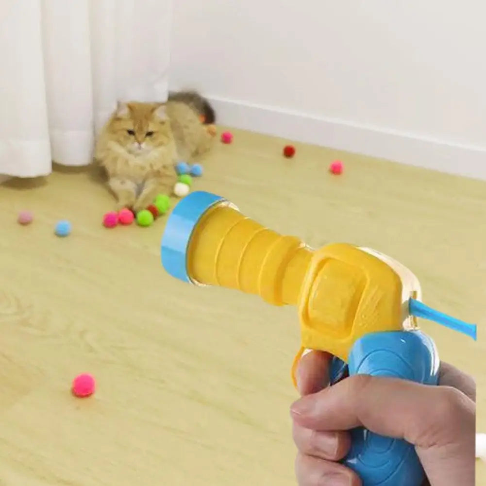 Cat Toys Interactive Launch Training