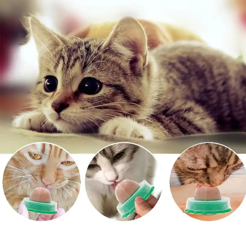 Cat Catnip Toys Healthy Nutrition Lollipop Mint On The Wall Cat Energy Ball Candy Snacks Goods For Cats Pet Products