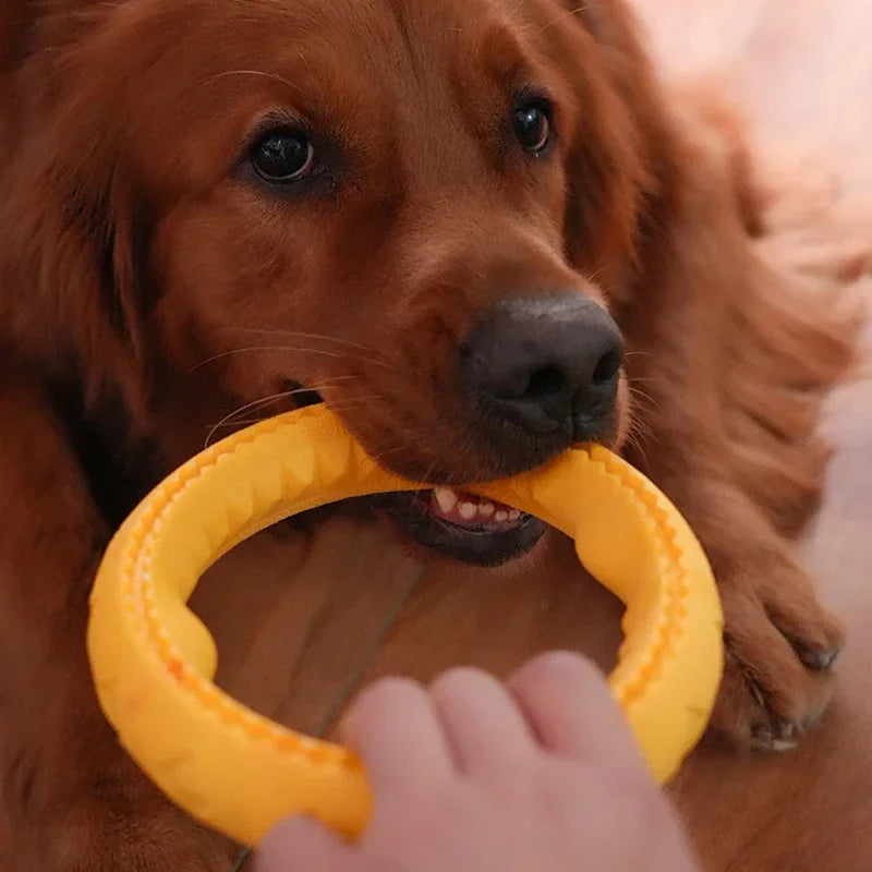 Dog Ring Toys Durable Chewing Flying Floating Training