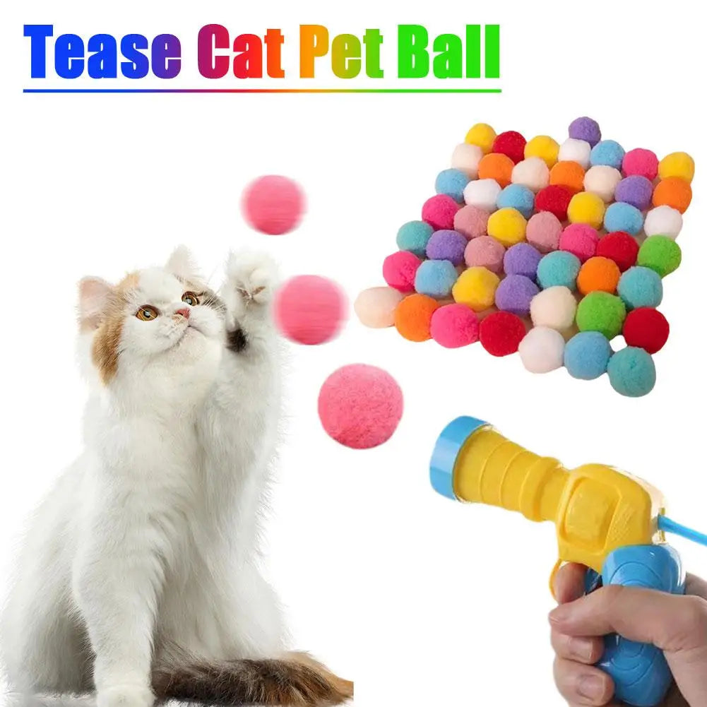 Cat Toys Interactive Launch Training
