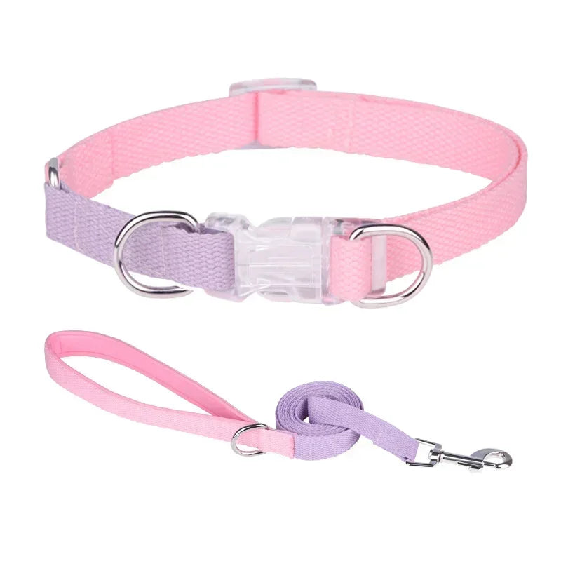 Dog collar, dog leash with double D ring, macaron collar color, transparent insert buckle, pull not easy to break
