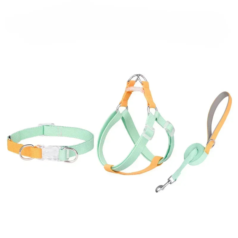 Dog collar, dog leash with double D ring, macaron collar color, transparent insert buckle, pull not easy to break