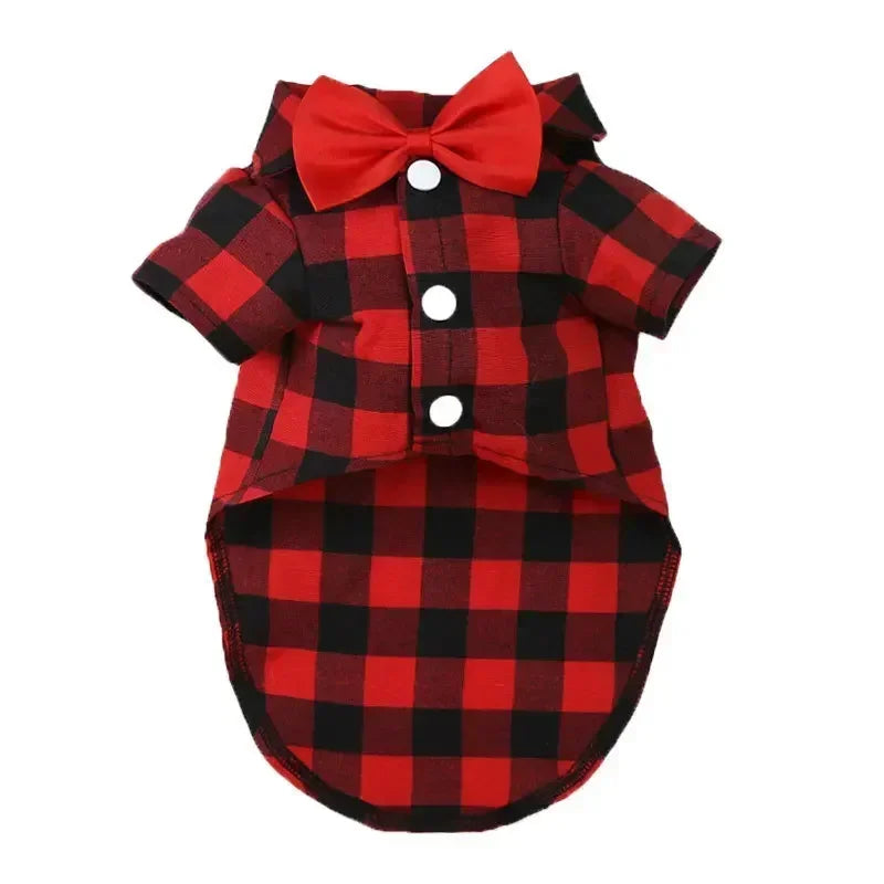 Striped Shirt Suit Wedding Dress Puppy Coat Teddy Bear