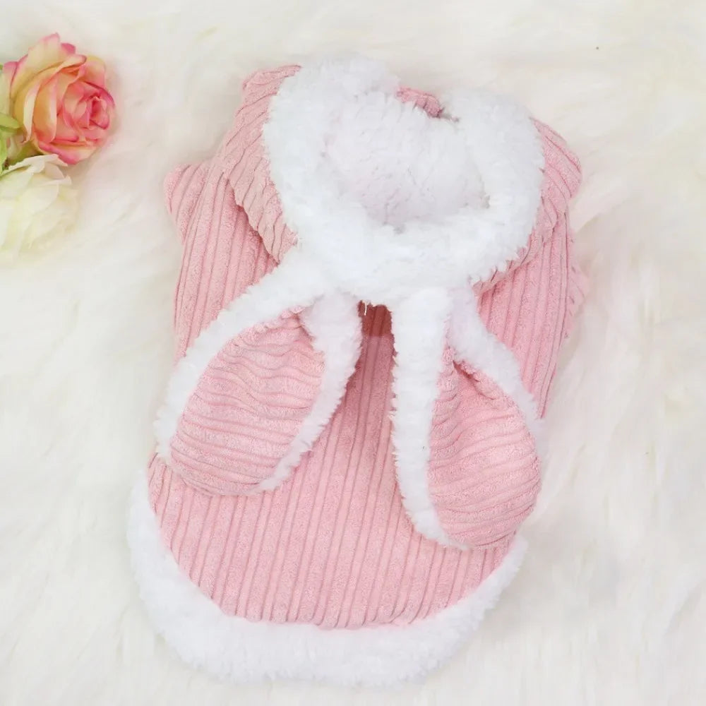 Lovable Cat Clothes Autumn and Winter, Small Dog Kitten