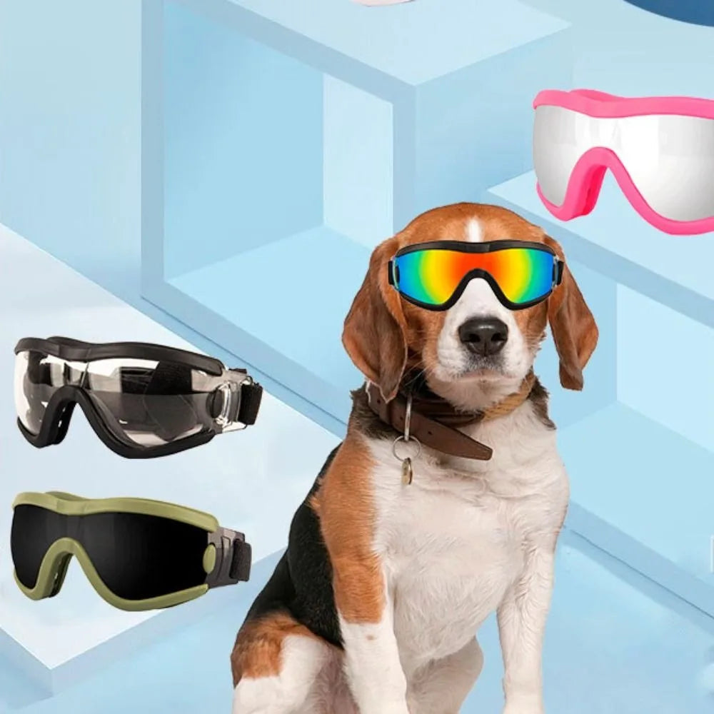 Dog Accessories Adjustable Strap Goggles, UV Resistant ,Windproof ,Anti-Fog Waterproof