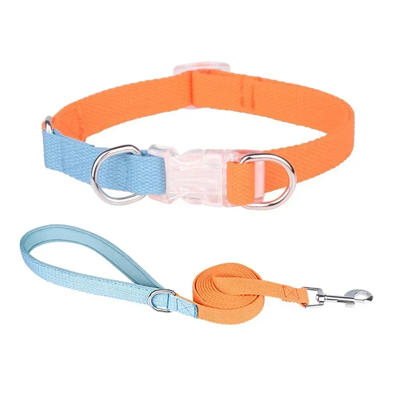 Dog collar, dog leash with double D ring, macaron collar color, transparent insert buckle, pull not easy to break