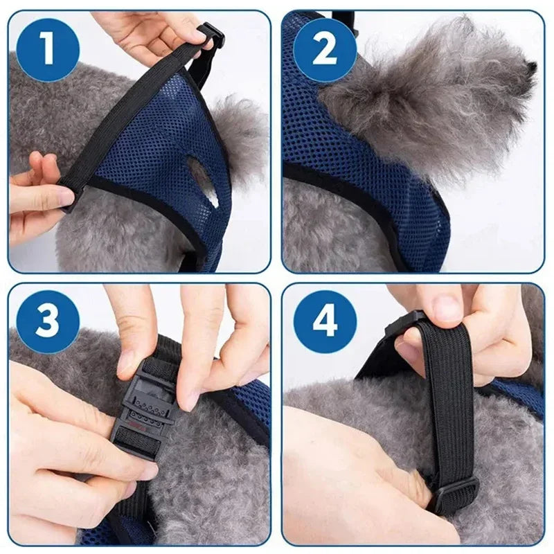 Hygiene Kecks Panties for Small Large Dogs Pet Sanitary Underwear