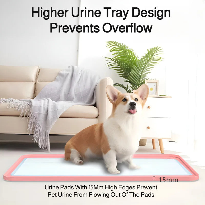 Silicone Pet Urine Pad Easy To Clean
