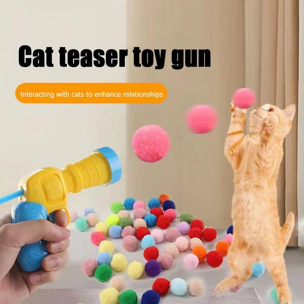 Cat Toys Interactive Launch Training