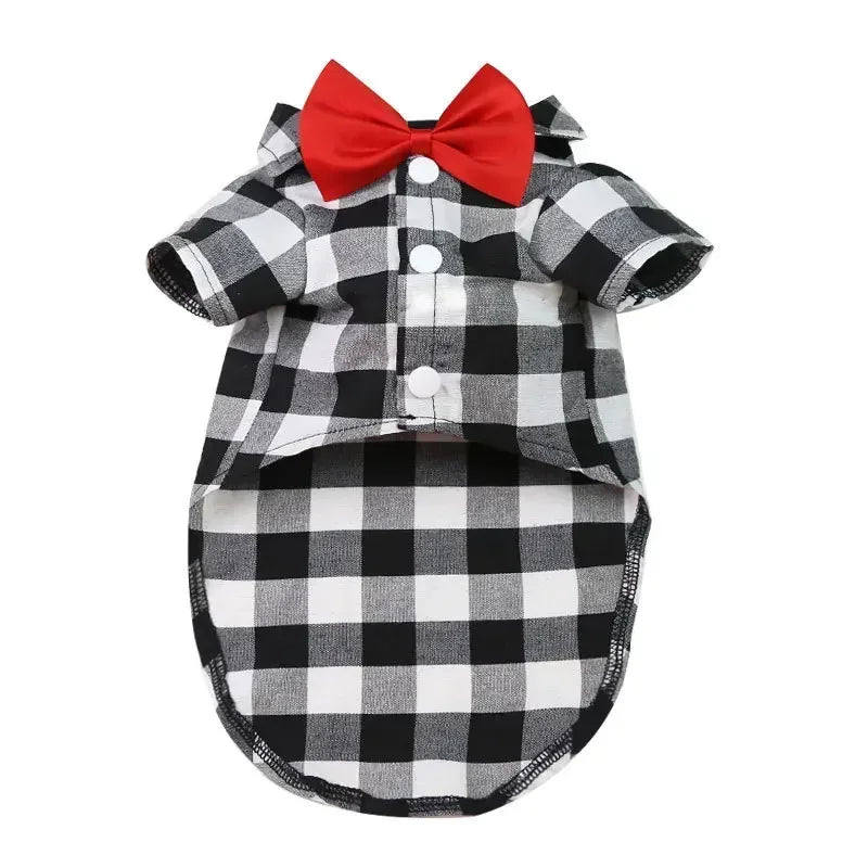 Striped Shirt Suit Wedding Dress Puppy Coat Teddy Bear